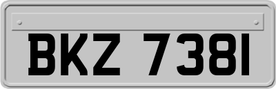 BKZ7381