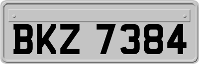 BKZ7384