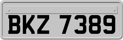 BKZ7389