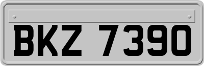 BKZ7390