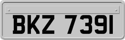 BKZ7391