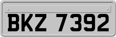 BKZ7392