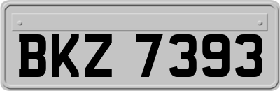 BKZ7393