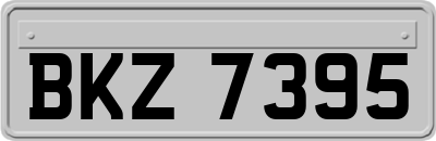 BKZ7395