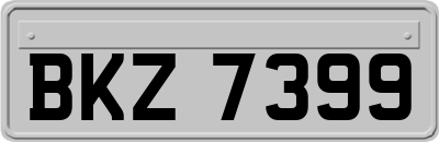 BKZ7399