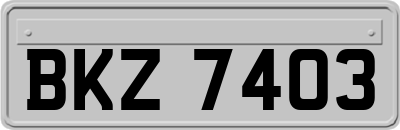 BKZ7403