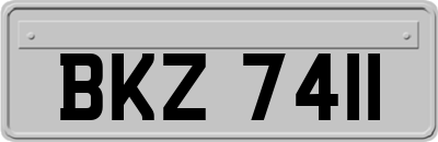 BKZ7411