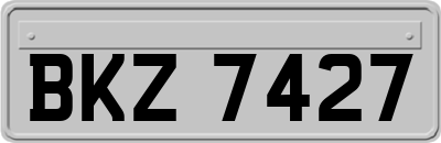 BKZ7427