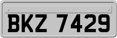BKZ7429