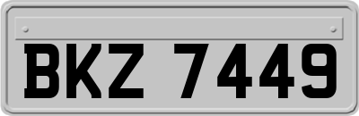 BKZ7449