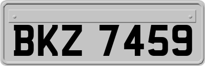 BKZ7459