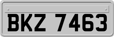BKZ7463