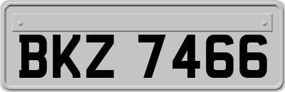BKZ7466