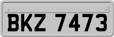 BKZ7473