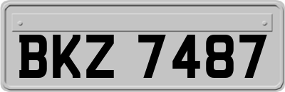BKZ7487