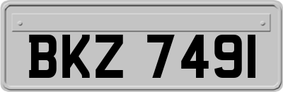 BKZ7491