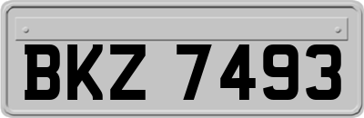 BKZ7493