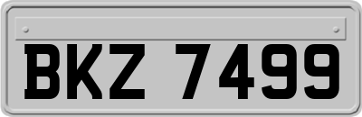 BKZ7499