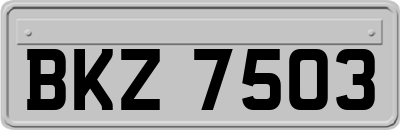 BKZ7503