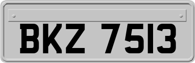 BKZ7513