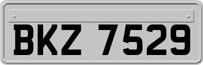 BKZ7529
