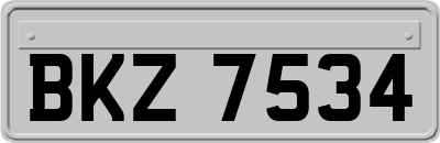 BKZ7534
