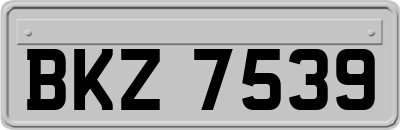 BKZ7539