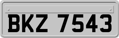 BKZ7543