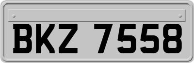BKZ7558