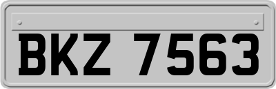BKZ7563