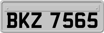 BKZ7565