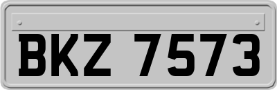 BKZ7573