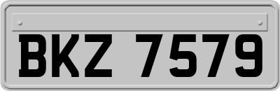 BKZ7579