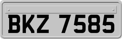 BKZ7585