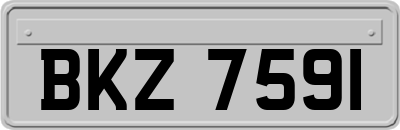 BKZ7591