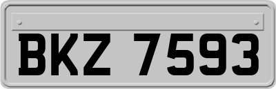 BKZ7593