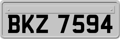 BKZ7594