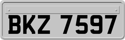 BKZ7597