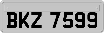 BKZ7599