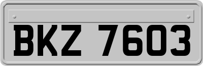 BKZ7603