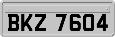 BKZ7604