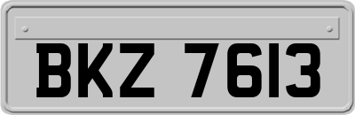 BKZ7613