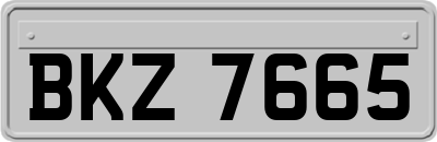 BKZ7665