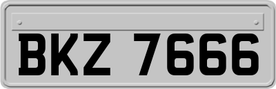 BKZ7666