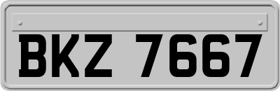 BKZ7667