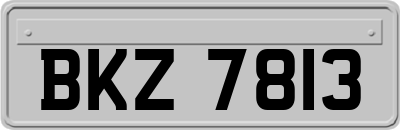 BKZ7813