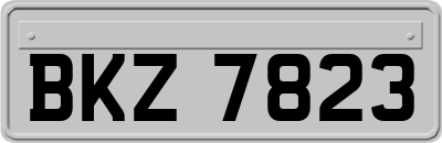BKZ7823