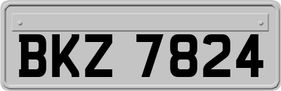 BKZ7824