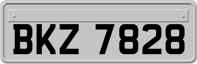 BKZ7828