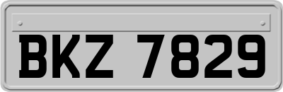 BKZ7829